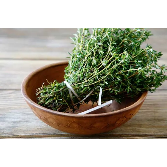 Thyme Herb - 1 Litre